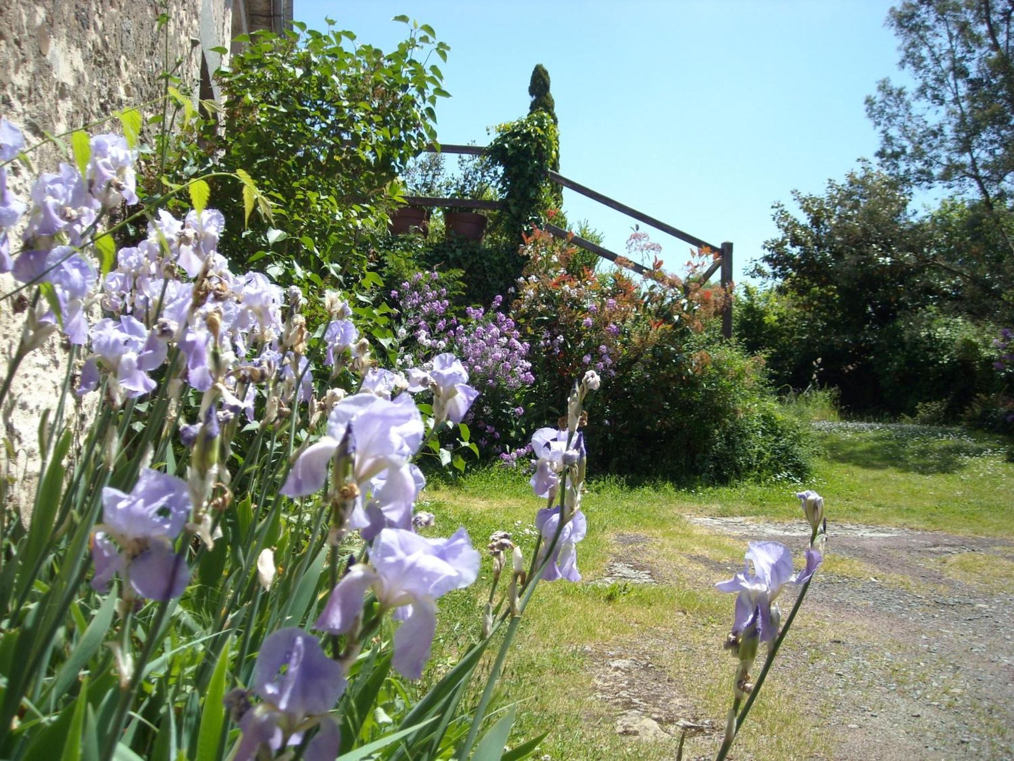 La Tour Des Laudes Bed & Breakfast Breuil-Barret Exterior foto
